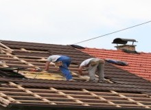 Kwikfynd Roof Conversions
nicholls